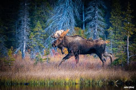 Yukon, Een onvergetelijk avontuur met een sterke cast en een verhaal vol intrige